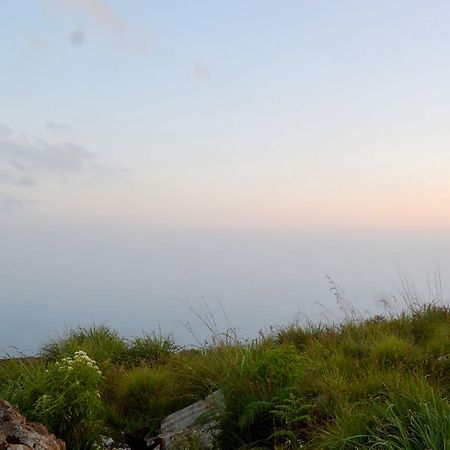 Olive Hill Top Hotel Haputale Εξωτερικό φωτογραφία